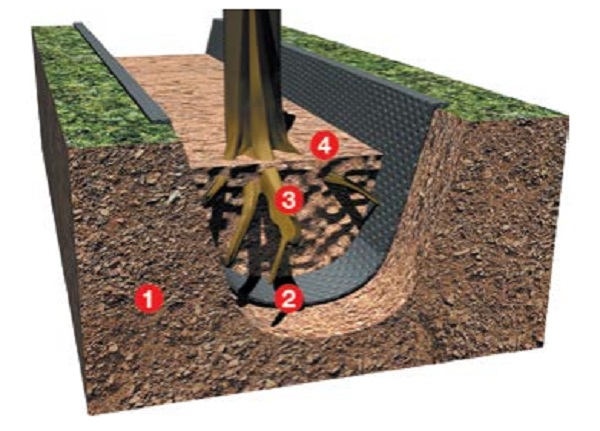 Защита корень. Геотекстиль для деревьев. Геоткань для корней деревьев. Геотекстиль для посадки деревьев. Геотекстиль для столбчатого фундамента.